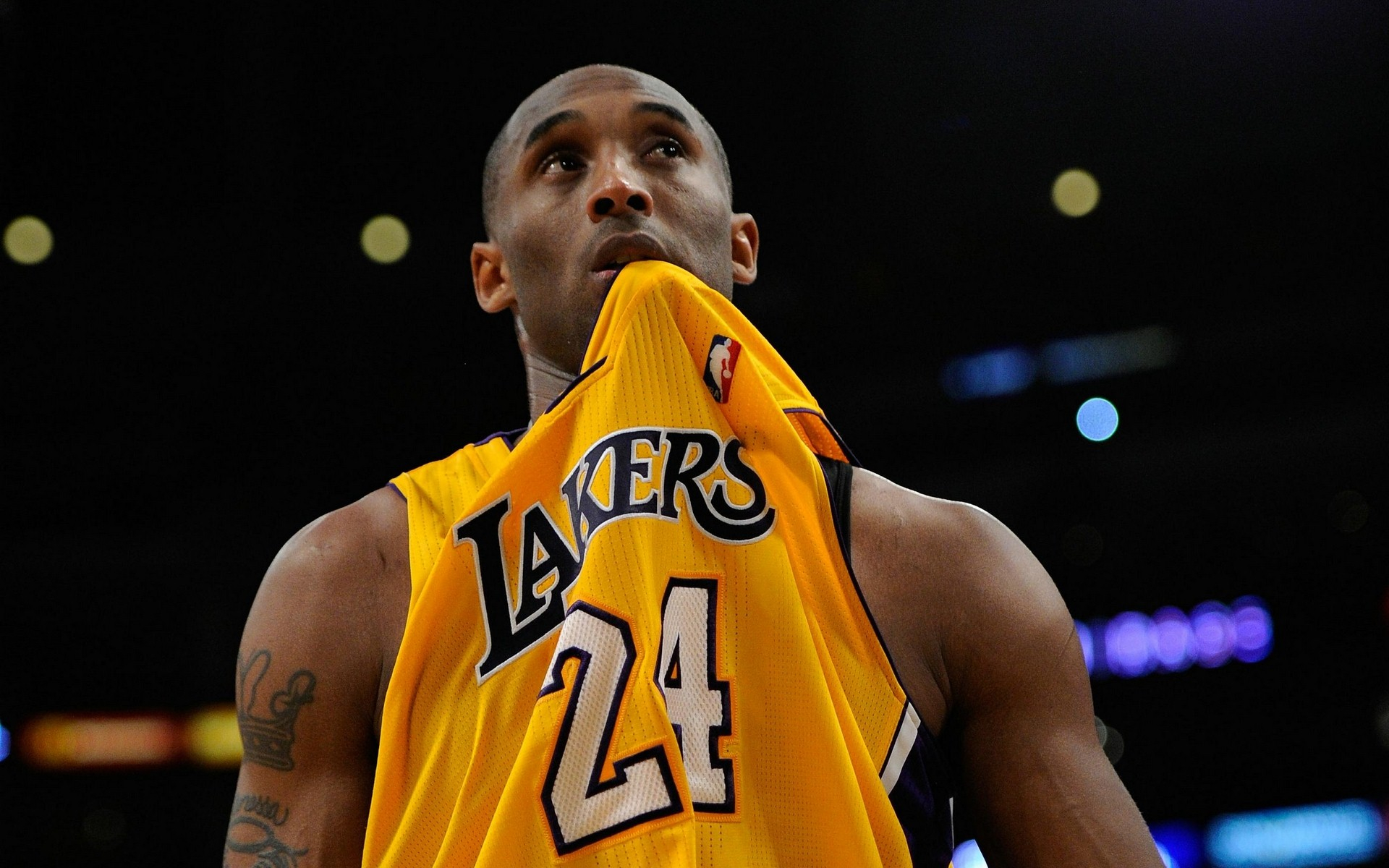 共同成长 共同成长