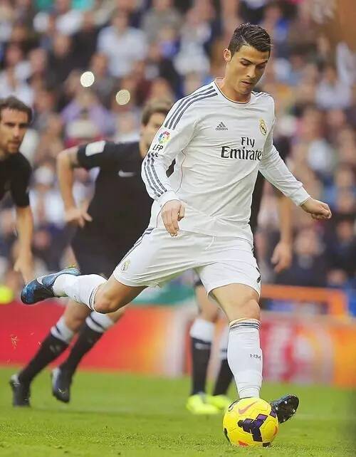 这个数字不 这个数字不